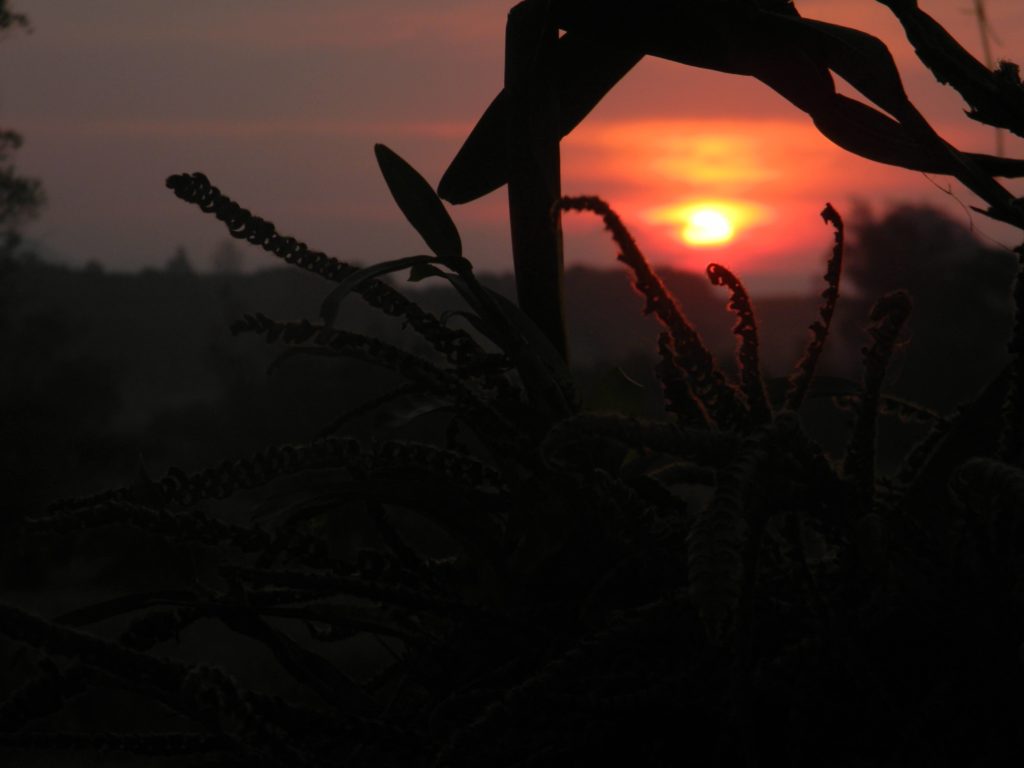 Pôr do Sol no inverno da pousada