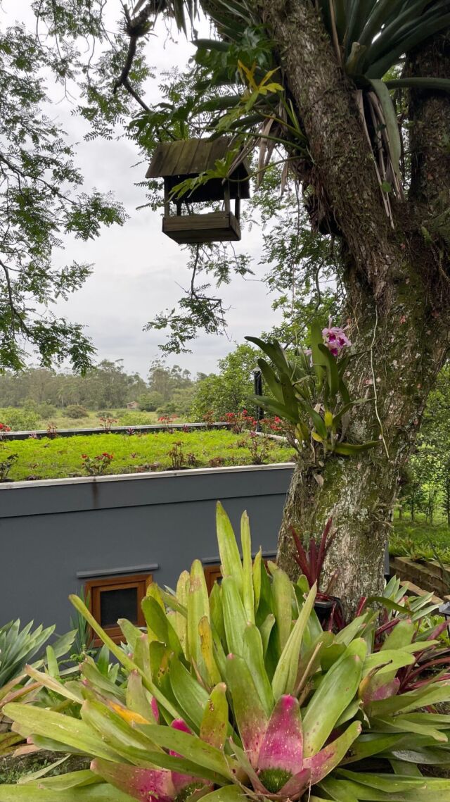 Imagine se hospedar na natureza, em um ambiente completo, com todo o conforto e bem pertinho do mar.. 

Viva a simplicidade do campo e o agito do verão nas praias mais belas do Rio Grande do Sul. 

#vivaesteencanto #riograndedosul #pousadas #casadecampo #casadepraiadecor #natureza #jardim #torresrs